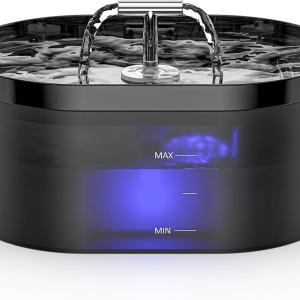 Water dispenser