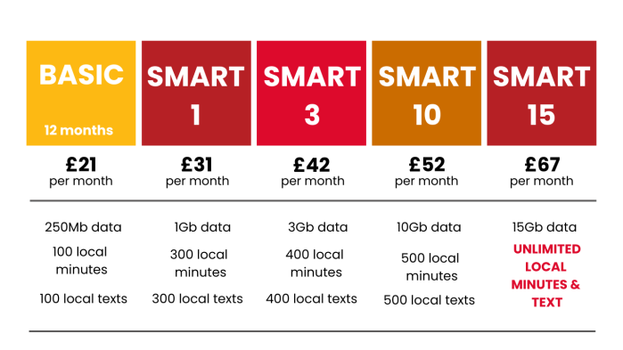 12 month mobile plan 01 10 29